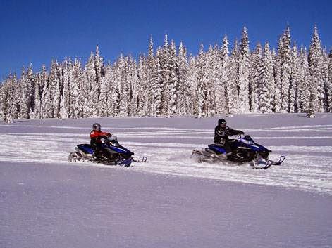 Thompson Valley Tours & Rentals | 3603 Shuswap Rd, Kamloops, BC V2H 1S1, Canada | Phone: (250) 851-8687