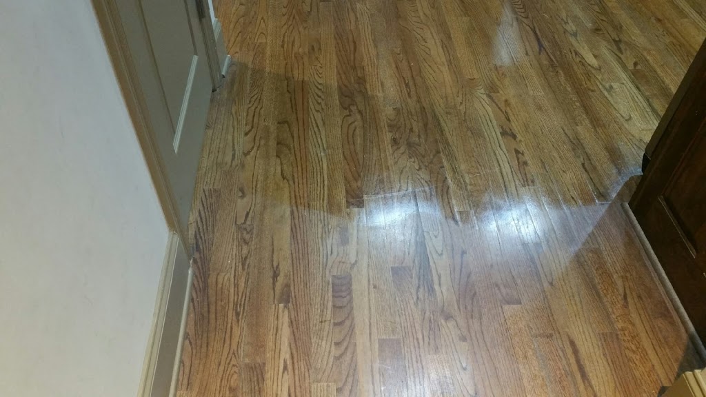 Elite Carpet Care | 14 Draper St, Brantford, ON N3T 6P8, Canada | Phone: (519) 900-3978