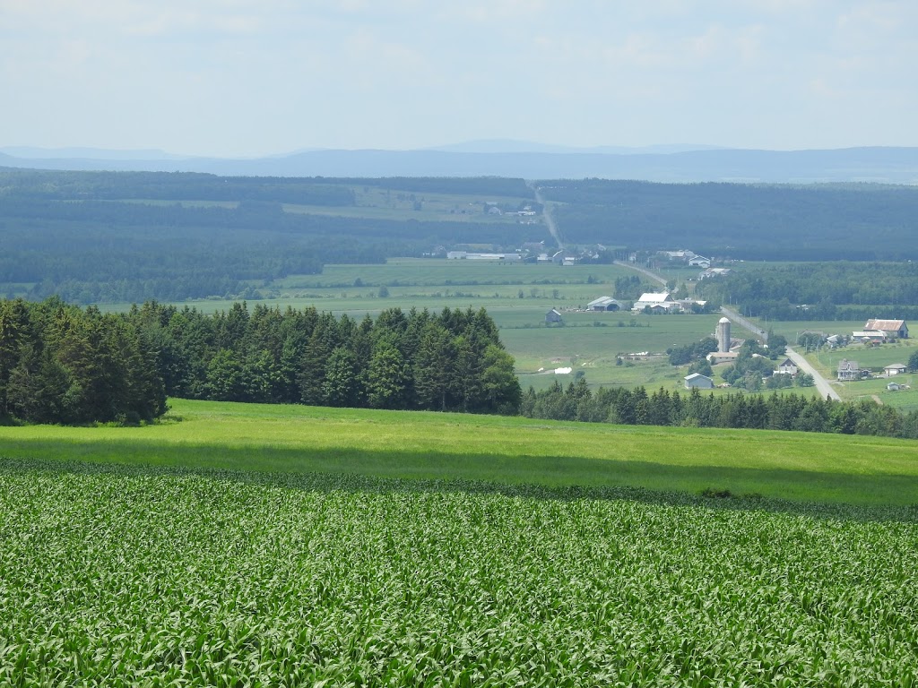 Fabrique St-Evariste | 335 Rue Principale, Saint-Évariste-de-Forsyth, QC G0M 1S0, Canada | Phone: (418) 459-6525