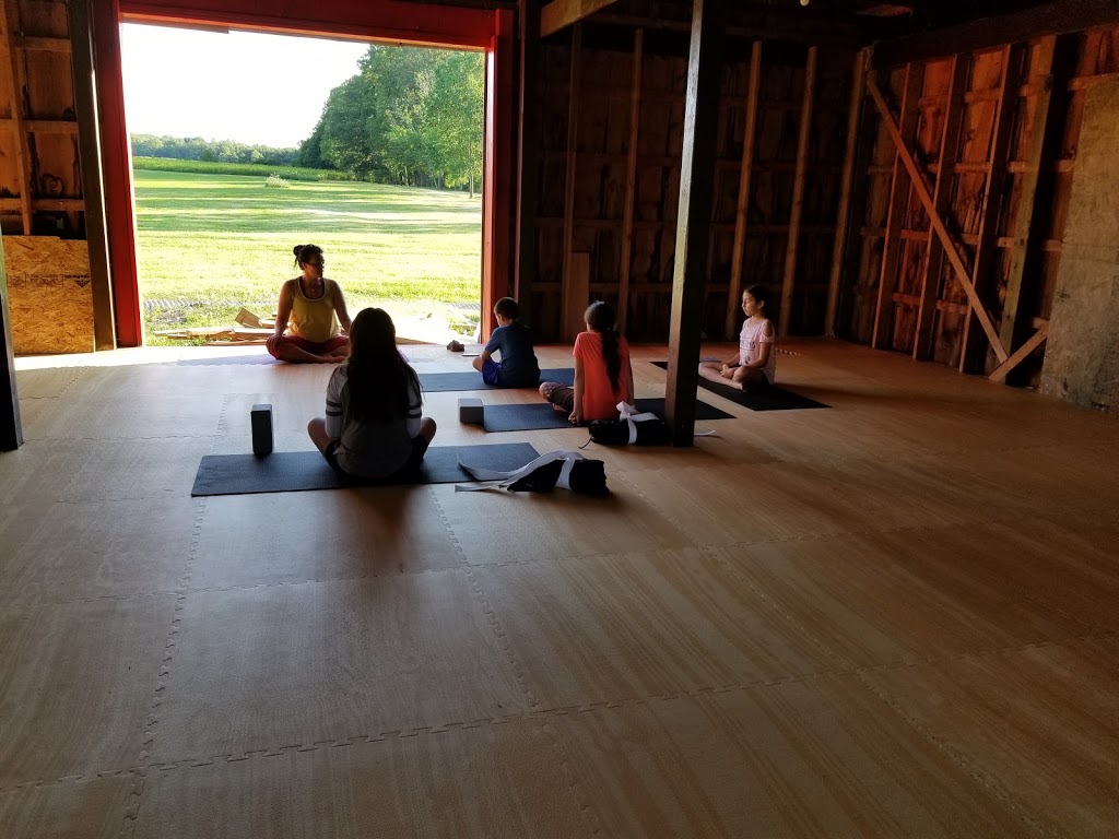 Shinryu Dojo | 3352 5th Line, Ohsweken, ON N0A 1M0, Canada | Phone: (905) 973-7776