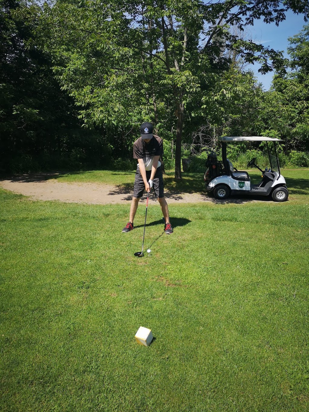 West Highland Golf Course | 177 Atkinson Rd, Madoc, ON K0K 2K0, Canada | Phone: (613) 473-3880