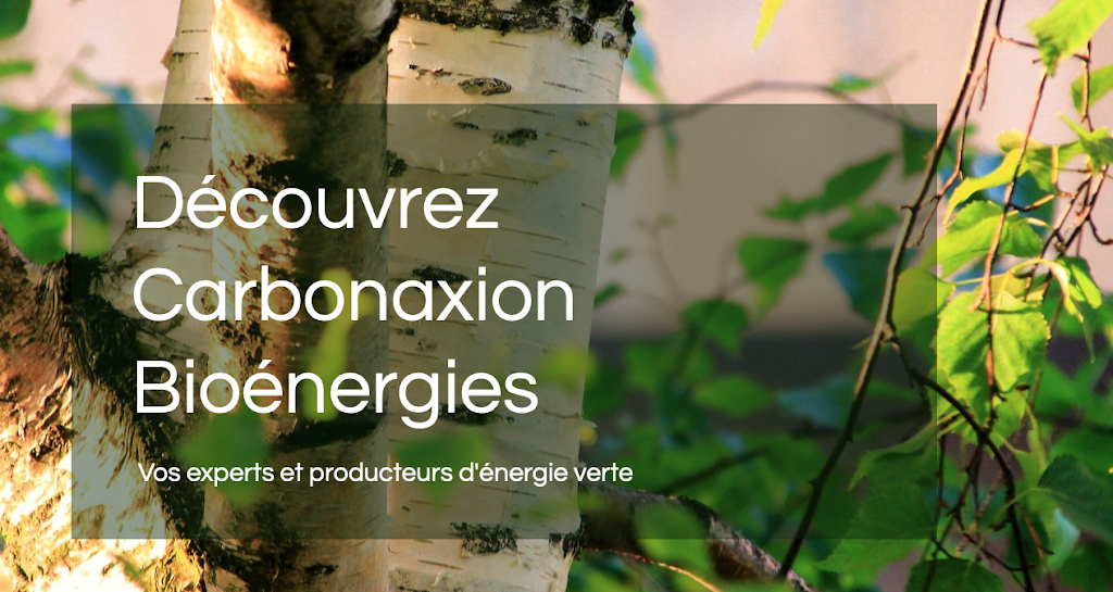 Carbonaxion Bioénergies (Bureau Capitale-Nationale) | point of interest | 438 Bd Jacques Cartier Bureau 200, Shannon, QC G0A 4N1, Canada | 5147811797 OR +1 514-781-1797