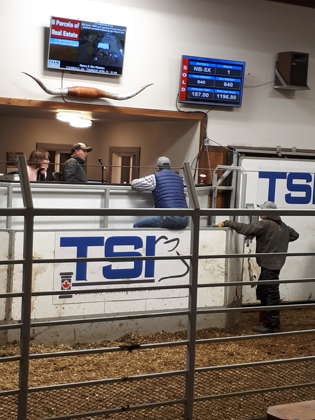 Thorsby Stockyards | 4335 50 Ave, Thorsby, AB T0C 2P0, Canada | Phone: (780) 789-3915