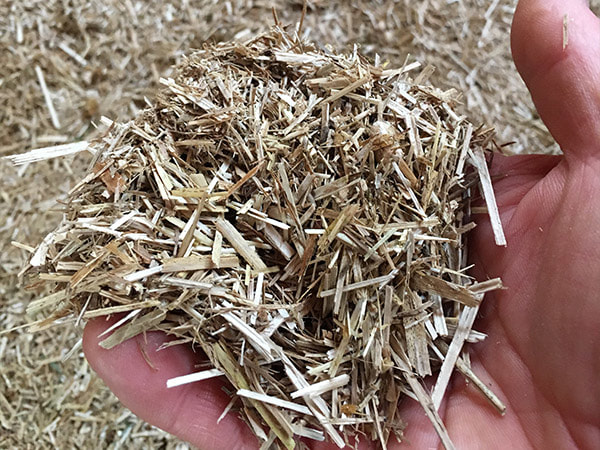 Empire Switchgrass | 5274 Derry Rd, Burlington, ON L7M 0R6, Canada | Phone: (905) 875-7006