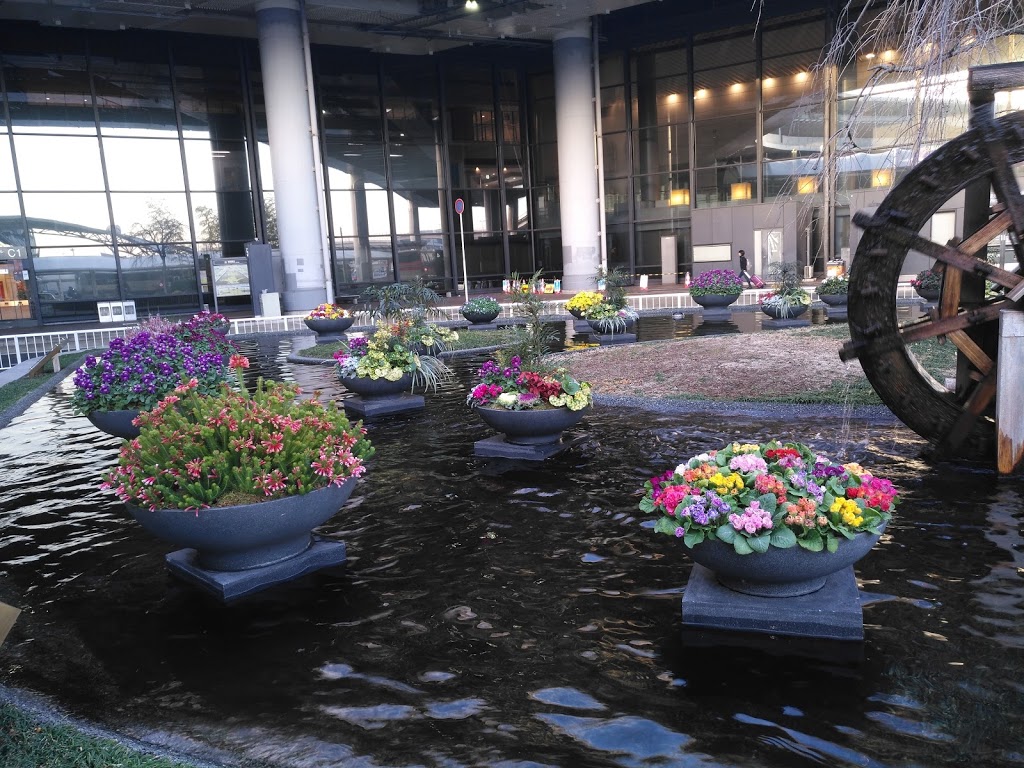 Thomas Greenhouses | 9633 Morning Glory Rd, Pefferlaw, ON L0E 1N0, Canada | Phone: (705) 437-2396