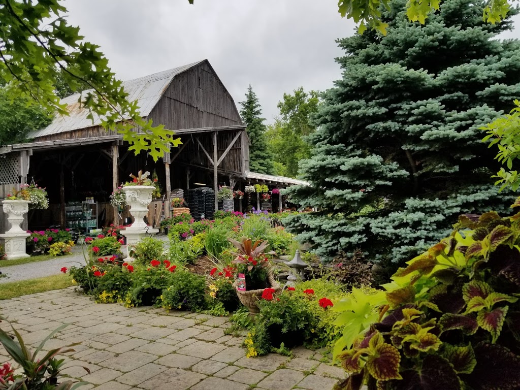 Farmgate Gardens | 525 Frankford Rd, Foxboro, ON K0K 2B0, Canada | Phone: (613) 967-1581