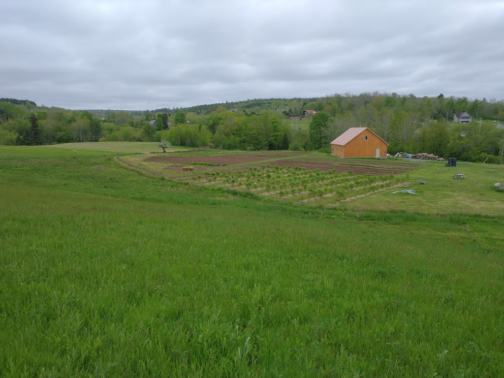 Galloping Meadow Acres | 4 Lynch Rd, Ellershouse, NS B0N 1L0, Canada | Phone: (902) 982-1199