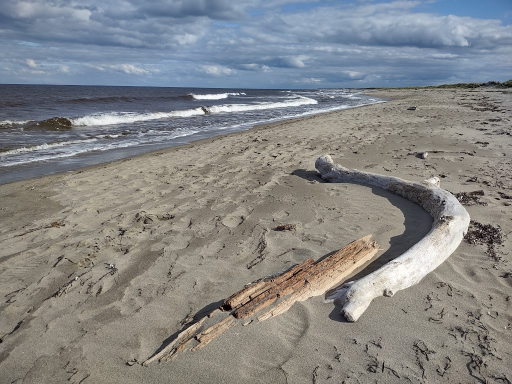 Cantine Plage Kellys Beach | Kouchibouguac National Park, Saint-Louis de Kent, NB E4X 1V2, Canada | Phone: (506) 876-4567