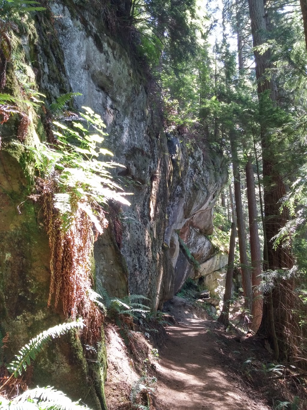 Rock Trail | 224 Cleator Rd, Bellingham, WA 98229, USA