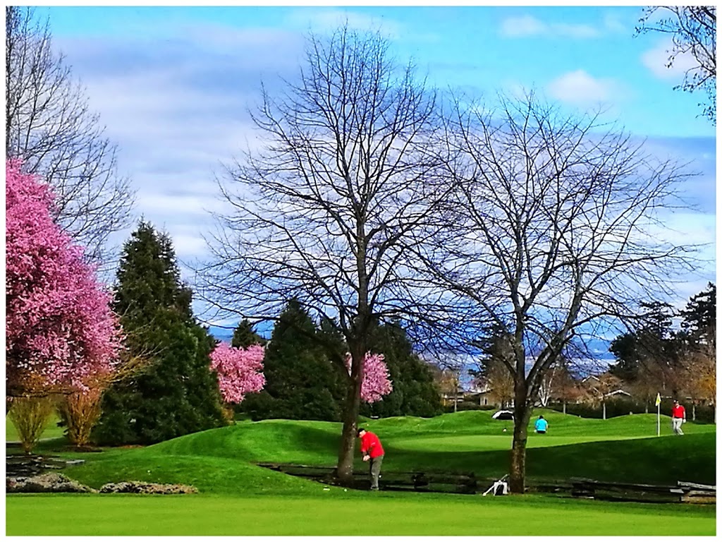 Toying Around | 115-5325 Cordova Bay Rd, Victoria, BC V8Y 2L3, Canada | Phone: (250) 658-2721