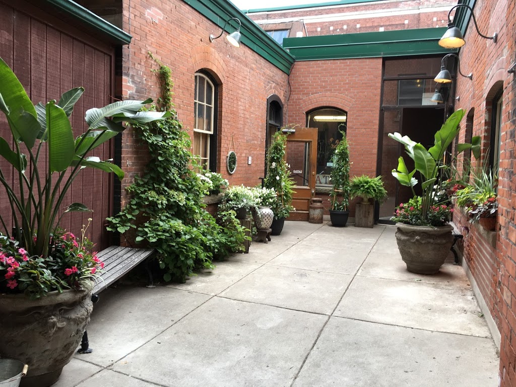 Louie Craft Coffee | 1187 King St W, Toronto, ON M6K 3C5, Canada | Phone: (416) 583-1627