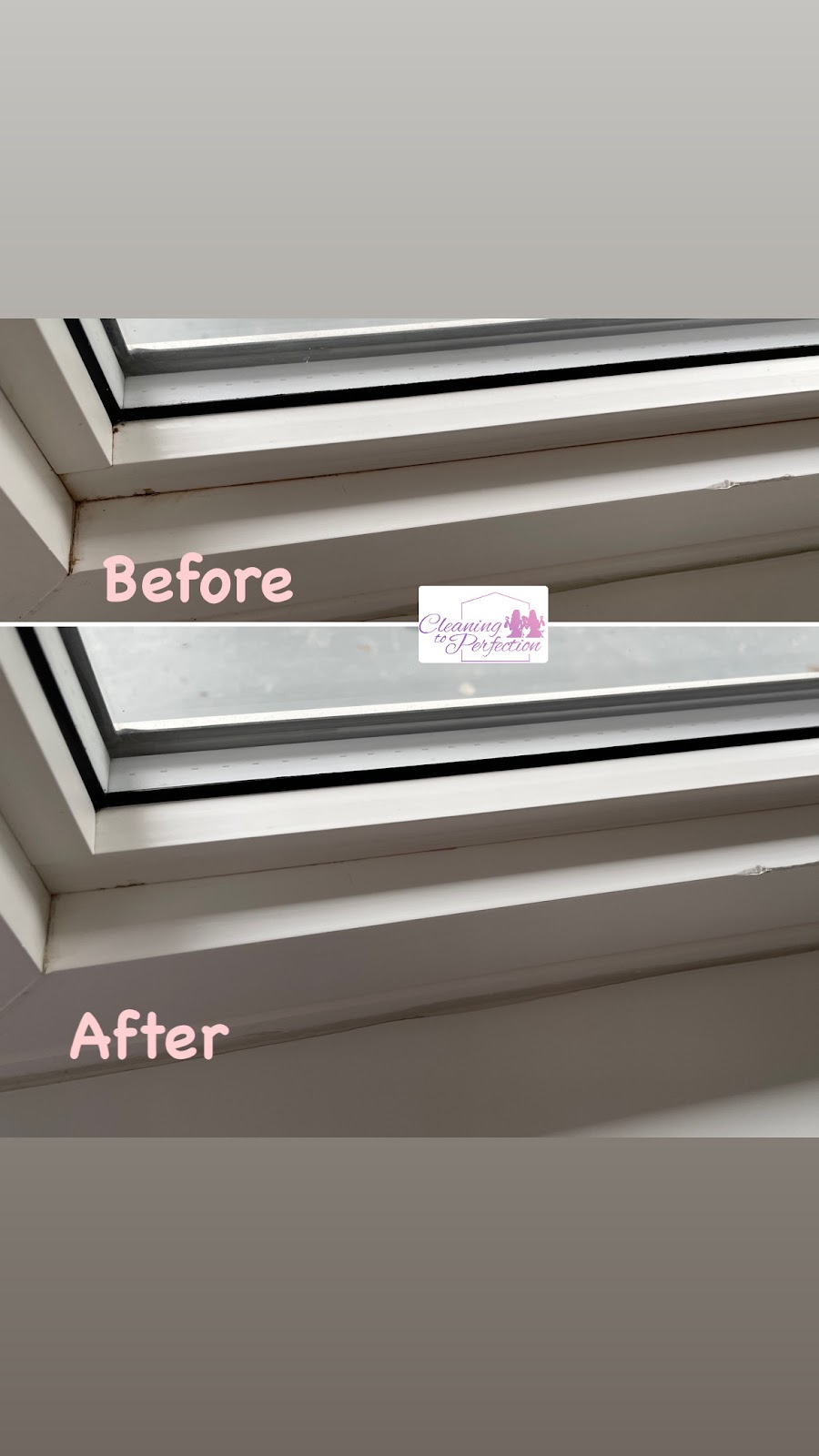 Cleaning to Perfection | 447 Renforth Dr, Etobicoke, ON M9C 2M9, Canada | Phone: (647) 568-6738