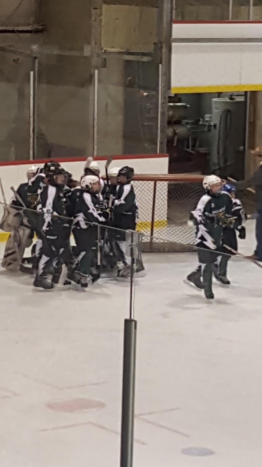 Sunderland Brock Memorial Arena | 20 Park St, Sunderland, ON L0C 1H0, Canada | Phone: (705) 357-3338
