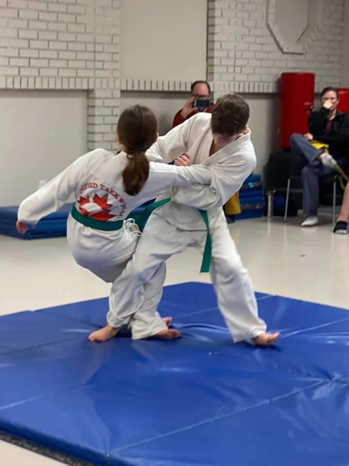 Hetlinger TaeKwon-Do | 56 Ave By-the-Lake-Park, Wetaskiwin, AB T9A 3C9, Canada | Phone: (780) 312-4853