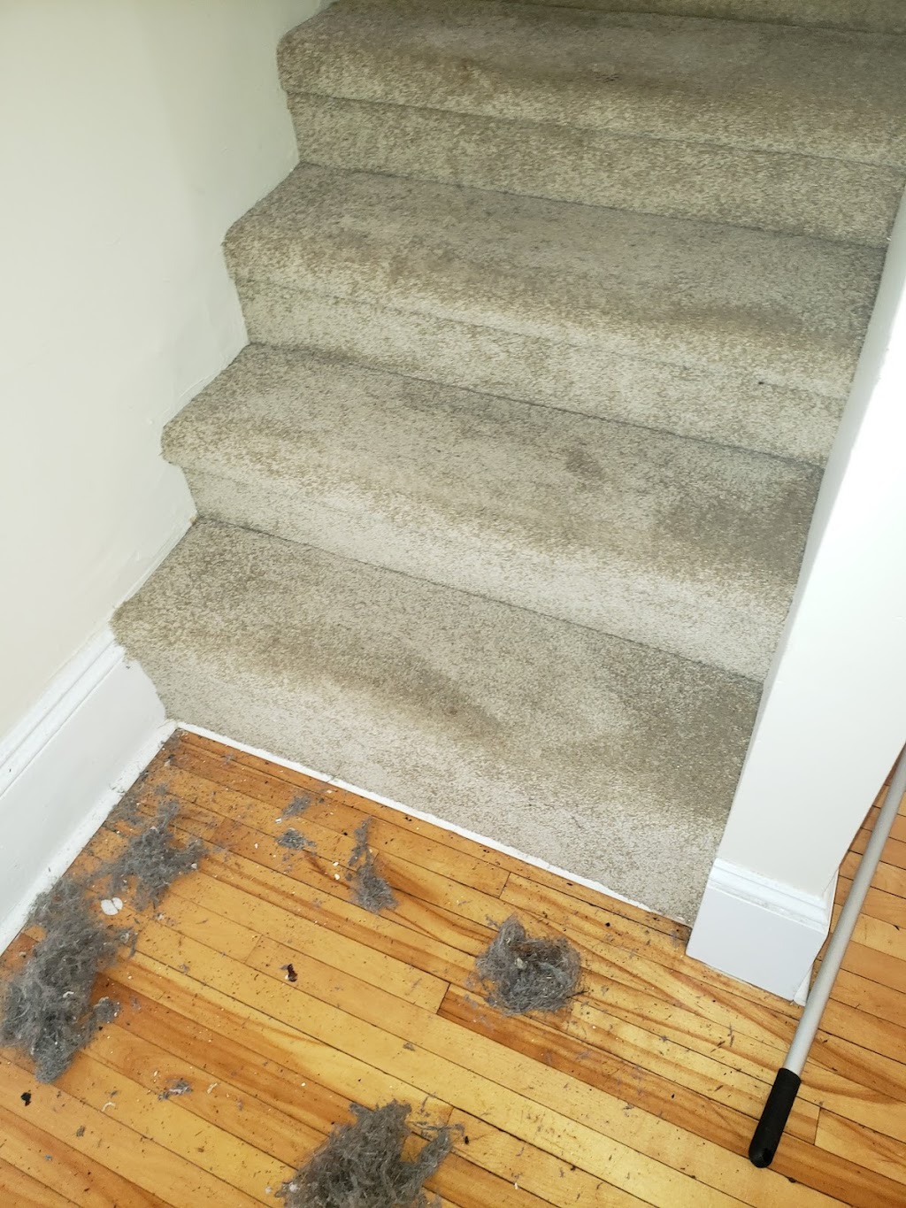 Kleenop Pro Cleaning Services | 52 Jackson Rd Suite A, Dartmouth, NS B3A 4A3, Canada | Phone: (902) 401-6113