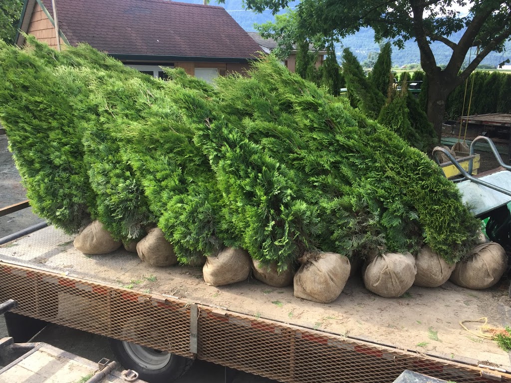 My Fraser green landscaping ltd | 3983 Paradise Pl, Abbotsford, BC V2S 8E3, Canada | Phone: (604) 825-3175