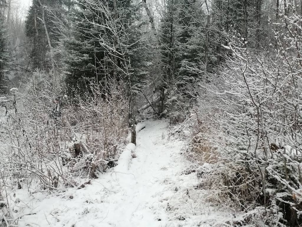 Parc de la Rivière-du-Moulin | 1577 Rue des Roitelets, Chicoutimi, QC G7H 0K8, Canada | Phone: (418) 698-3235