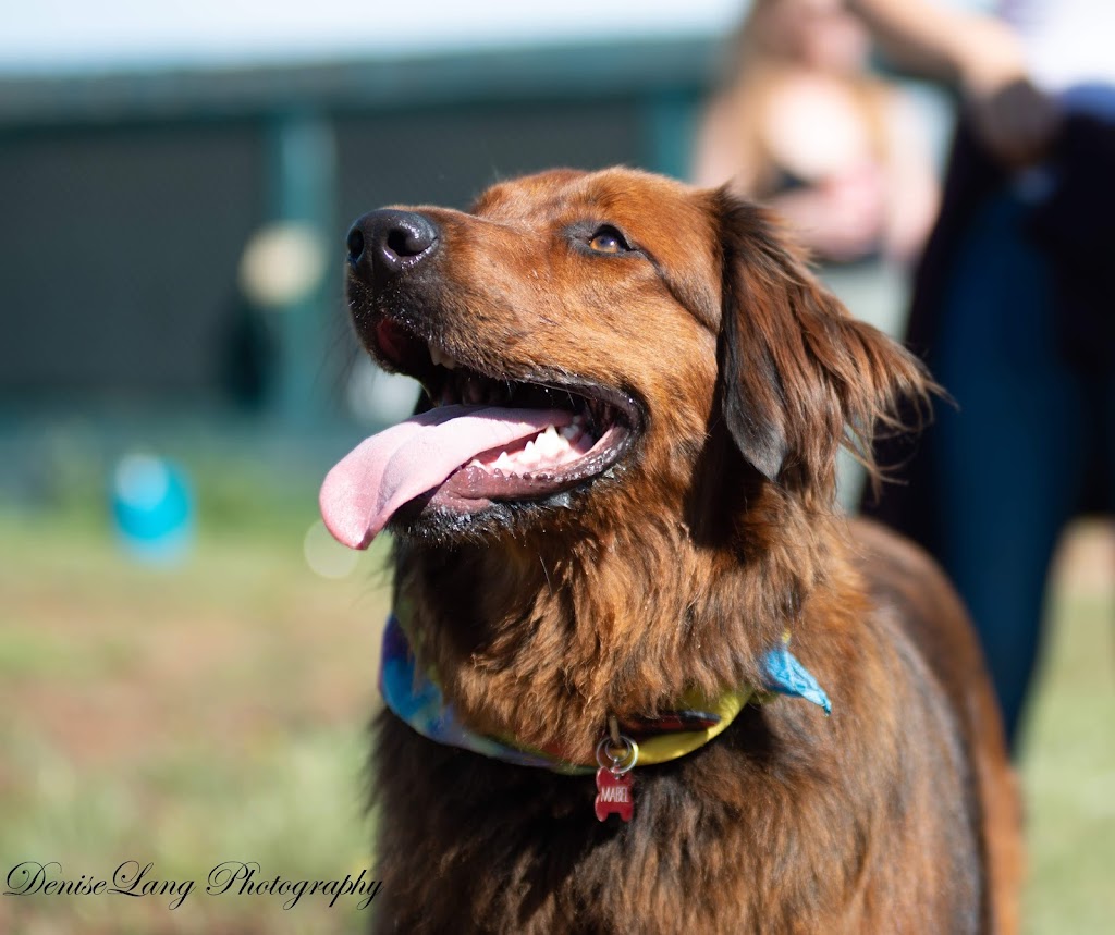 Trackers Pet Supply | 5302A 50 Ave, Athabasca, AB T9S 1G8, Canada | Phone: (780) 675-7977