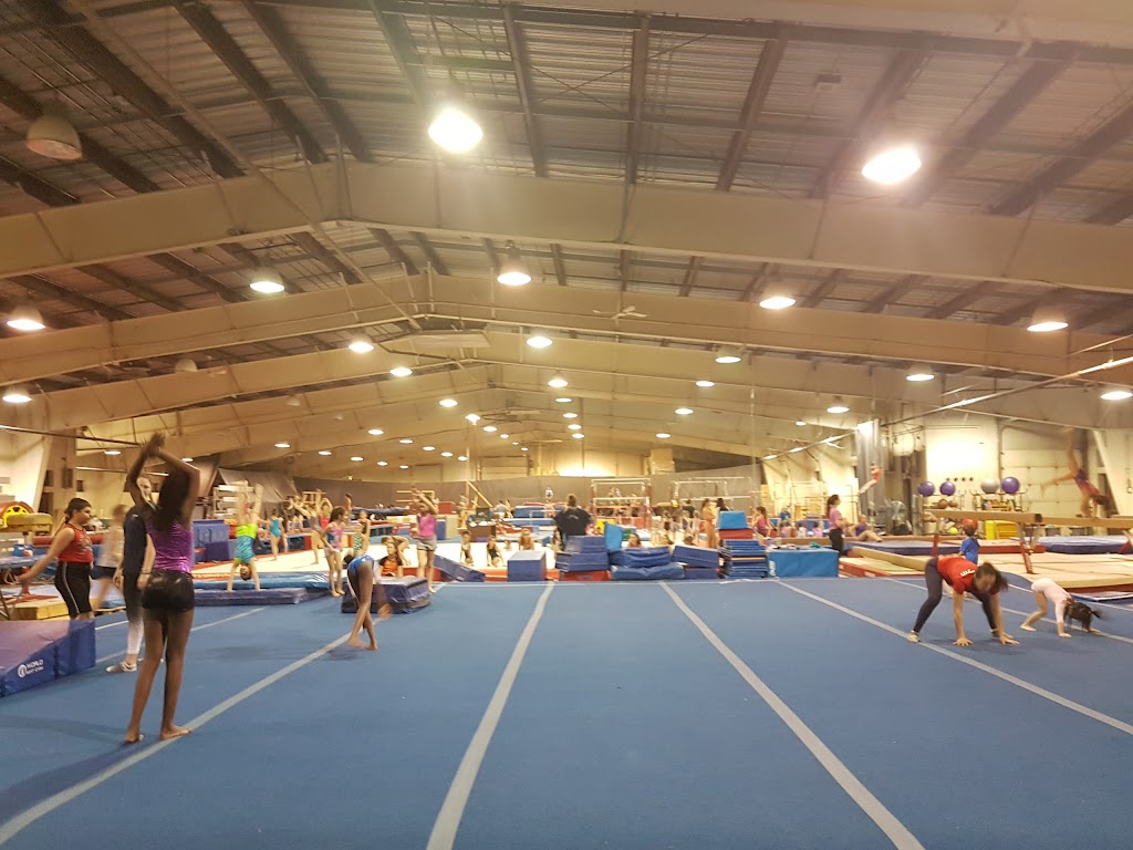 Club de Gymnastique SherGym de Sherbrooke Inc | 300 Rue du Cégep, Sherbrooke, QC J1E 2J9, Canada | Phone: (819) 823-8986