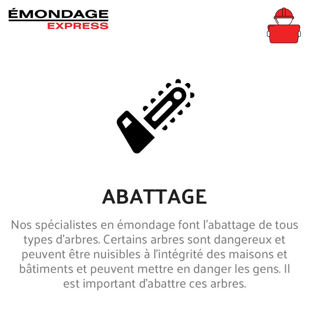 Émondage Express | 99A Bd de lAéroport, Bromont, QC J2L 1S8, Canada | Phone: (833) 624-7669