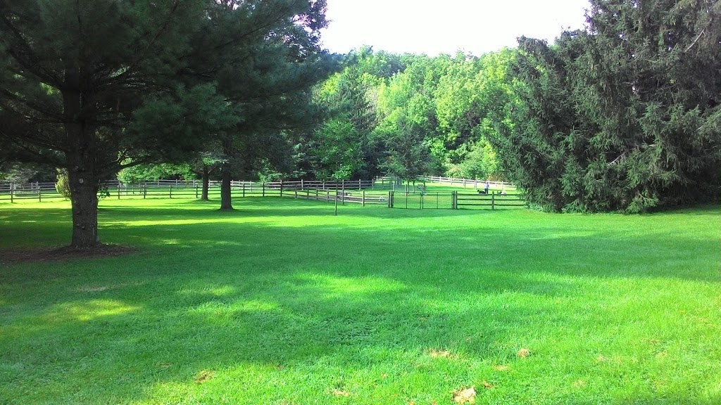 Earl Bales Dogs Park | Lansing, Toronto, ON M3H 3P7, Canada