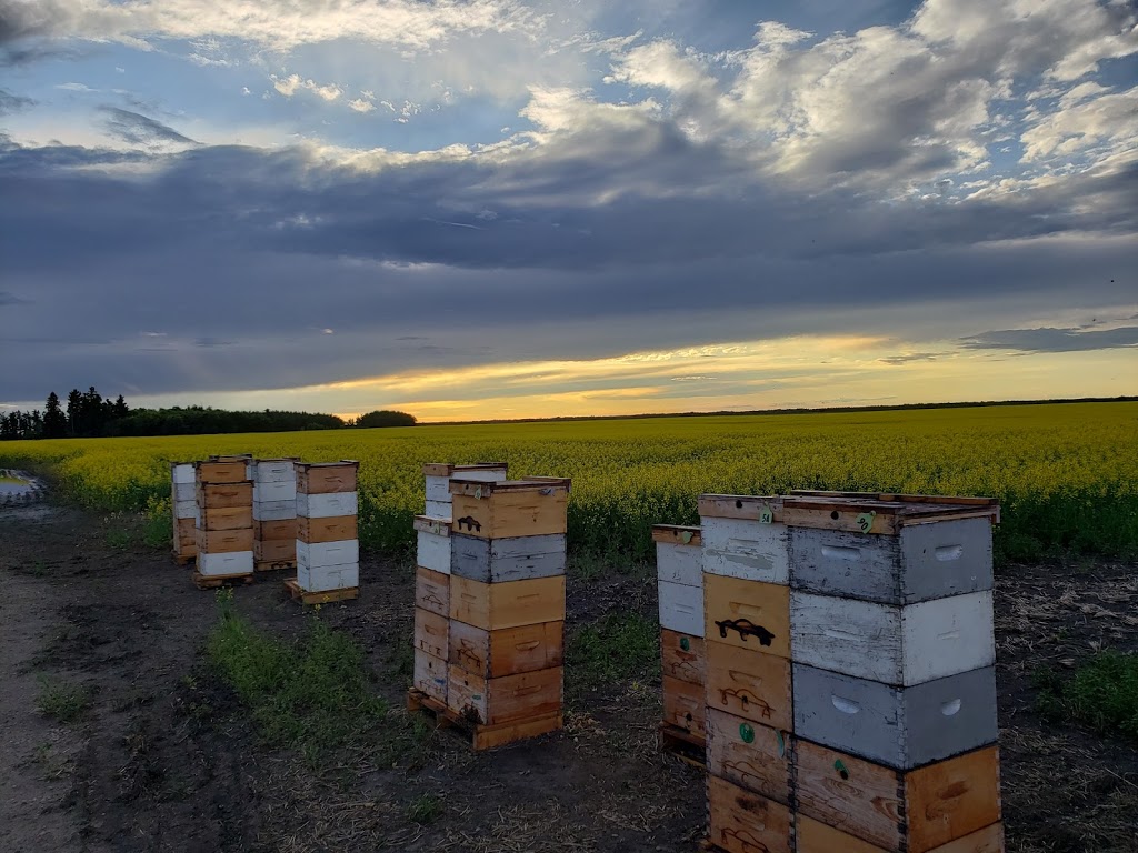 Beaver Creek Apiaries ltd. | Unnamed Road, Beaver County, AB T0B 4A0, Canada | Phone: (780) 722-4232