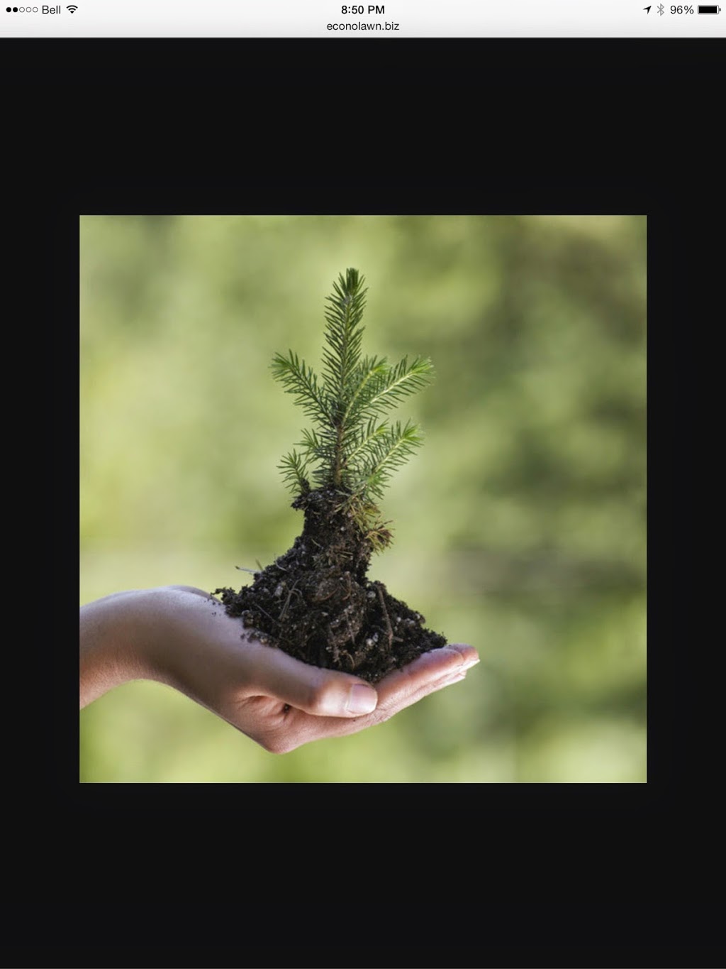 Pinewood Landscaping ltd. | 33 Twenty Fifth St, Etobicoke, ON M8V 3P5, Canada | Phone: (416) 251-0008