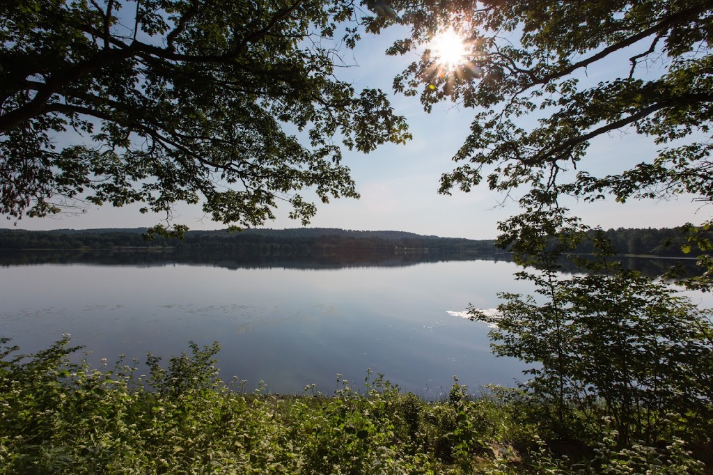 Windhorse Farm | 129 Sarty Rd, Wentzells Lake, NS B4V 4J6, Canada | Phone: (902) 543-6955