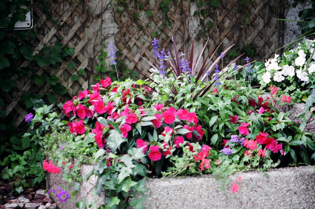 A Womans Touch Landscaping | 19 Delano Pl, Scarborough, ON M1N 1M3, Canada | Phone: (416) 427-3367