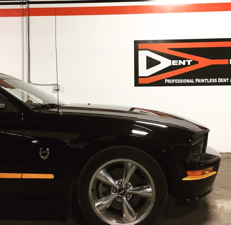 DENTED Paintless Dent Repair | 7457 49 Ave Crescent, Red Deer, AB T4P 1X6, Canada | Phone: (403) 406-3533