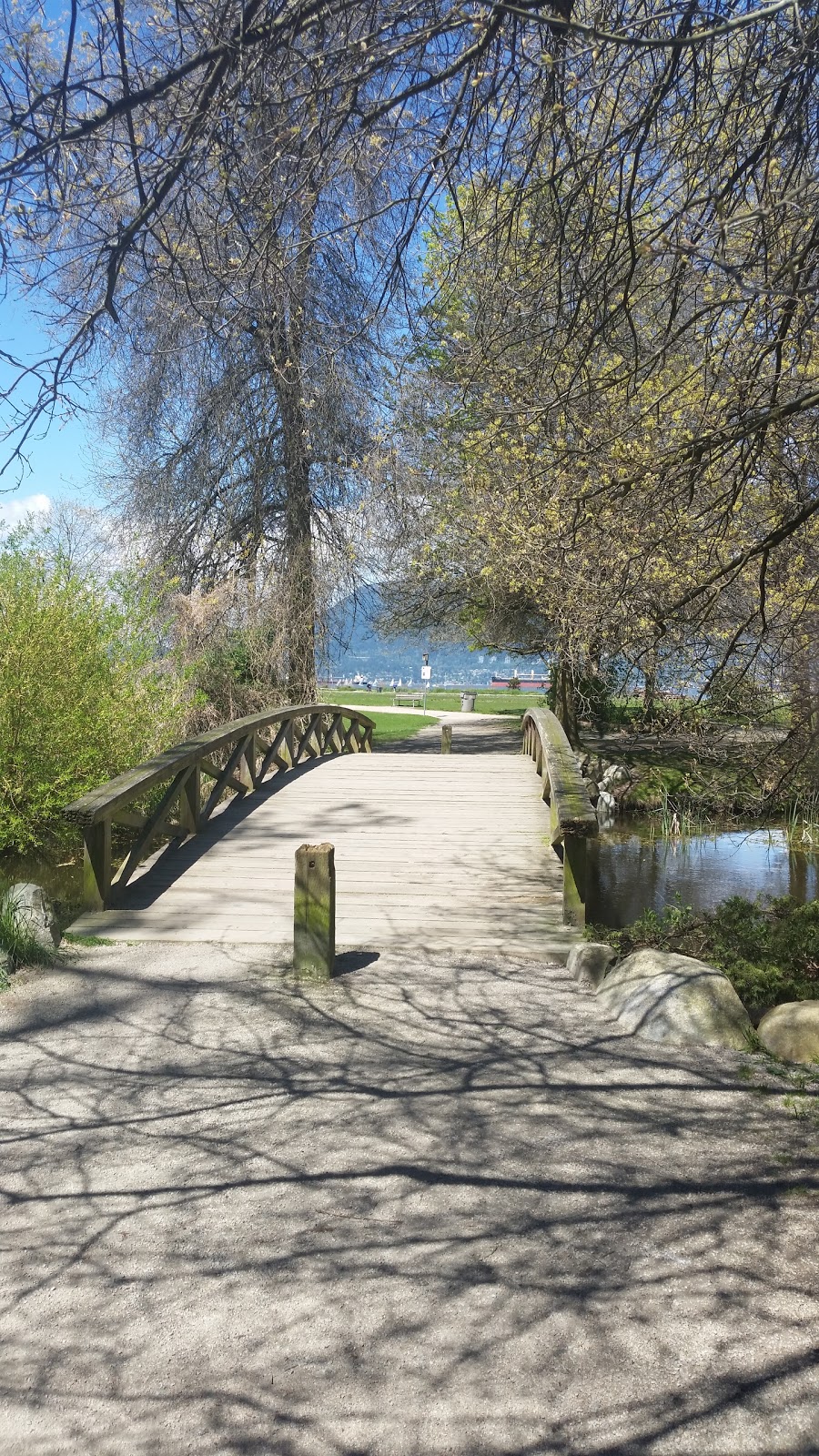 Jericho Beach Park | 3941 Point Grey Rd, Vancouver, BC V6R 1B5, Canada | Phone: (604) 873-7000