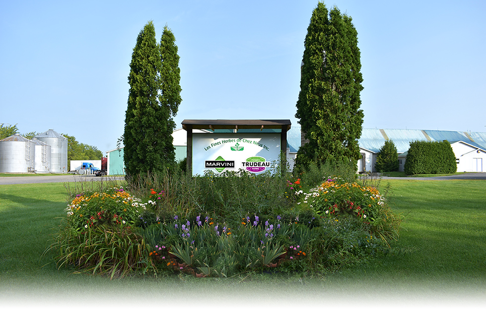 Fermes Trudeau | 138 Chem. Trudeau, Saint-Mathieu-de-Beloeil, QC J3G 0E3, Canada | Phone: (450) 464-2920