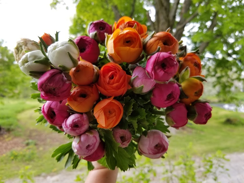 Fleurs de ferme | rang 8, Sainte-Christine, QC J0H 1H0, Canada | Phone: (450) 521-8931