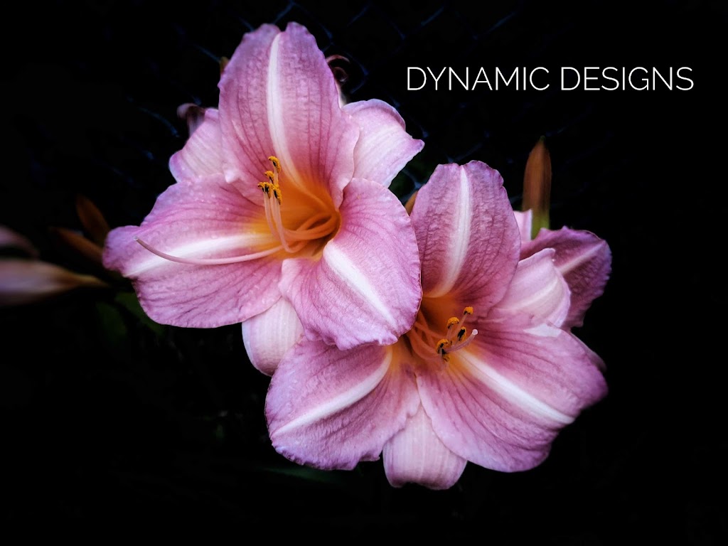Dynamic Designs | 134 Lindsay St S, Lindsay, ON K9V 2M7, Canada | Phone: (647) 227-0173