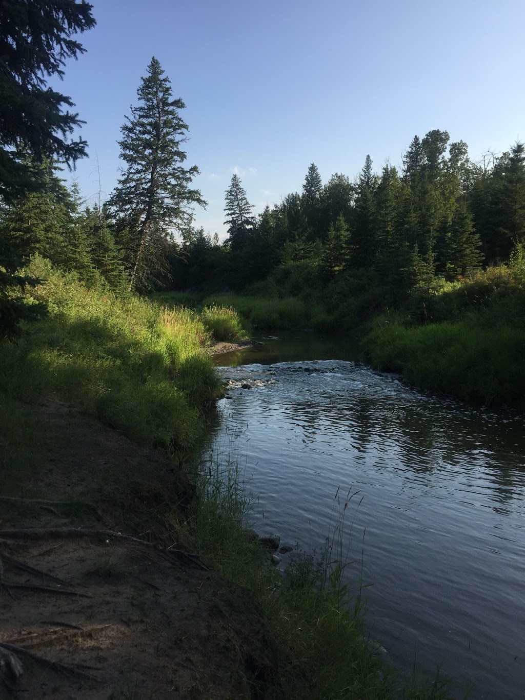 Big Bear Park | 1312 109 St NW, Edmonton, AB T6J 5X9, Canada