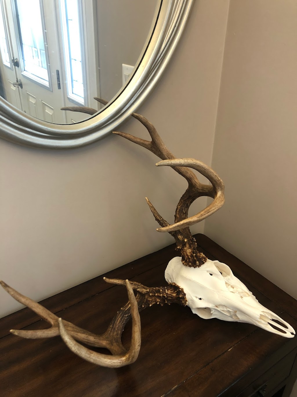 Pine View Taxidermy | Rd 32N #43044, La Broquerie, MB R0A 0W0, Canada | Phone: (204) 392-2485