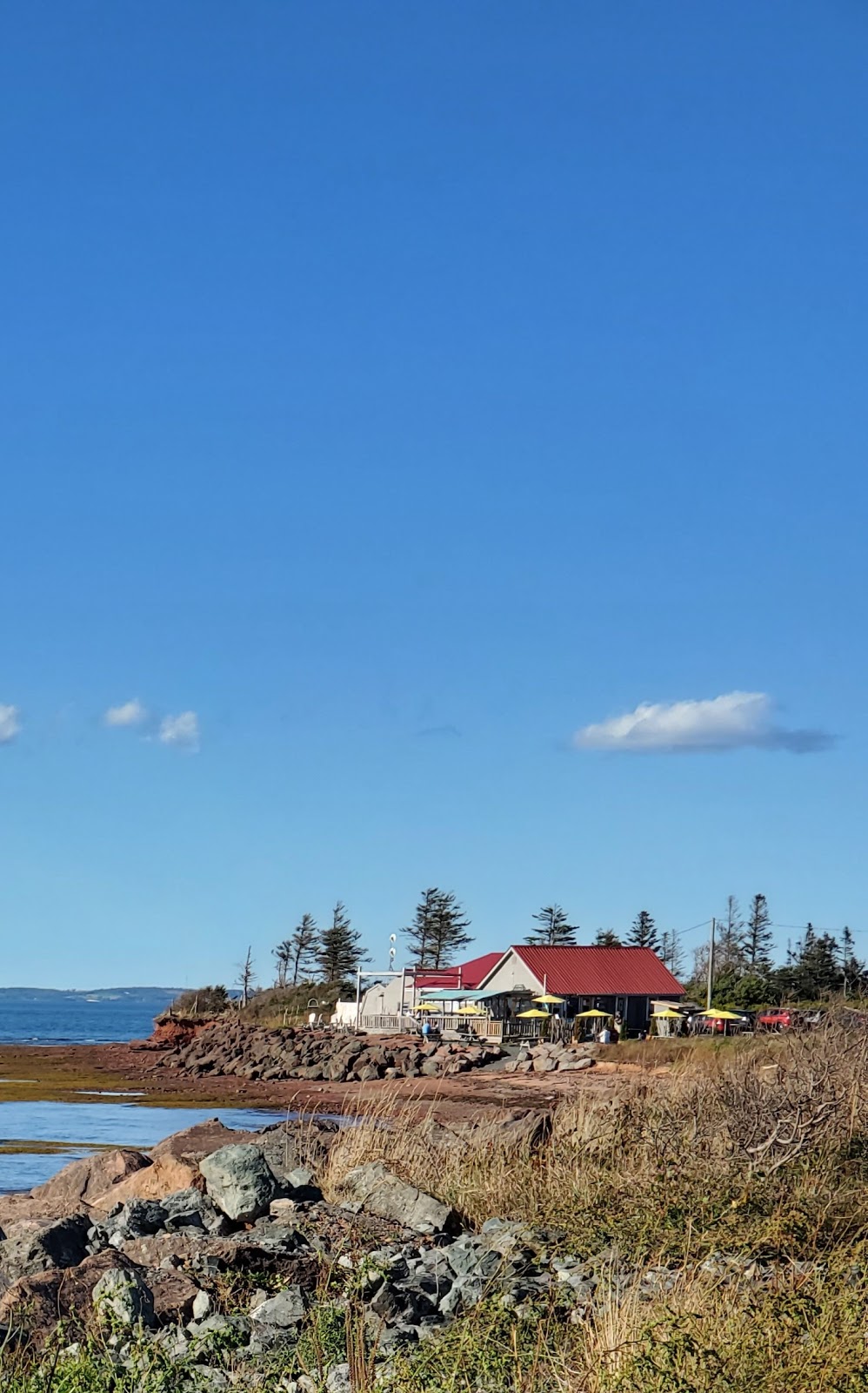 Century 21 Northumberland Realty (1987) Ltd. | 629 Water St E, Summerside, PE C1N 4H8, Canada | Phone: (902) 436-2265