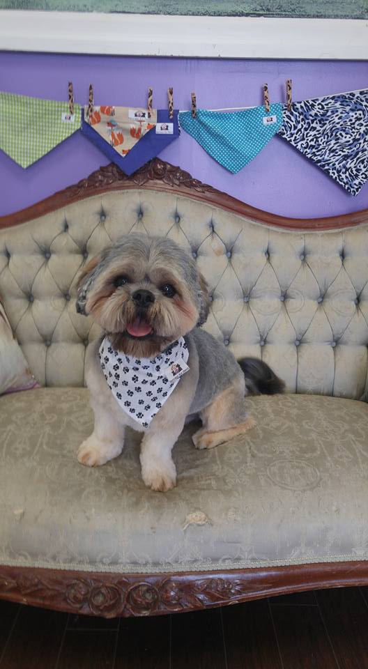 The Foxy Hound | 2490 Main St, London, ON N6P 1P9, Canada | Phone: (519) 203-3303