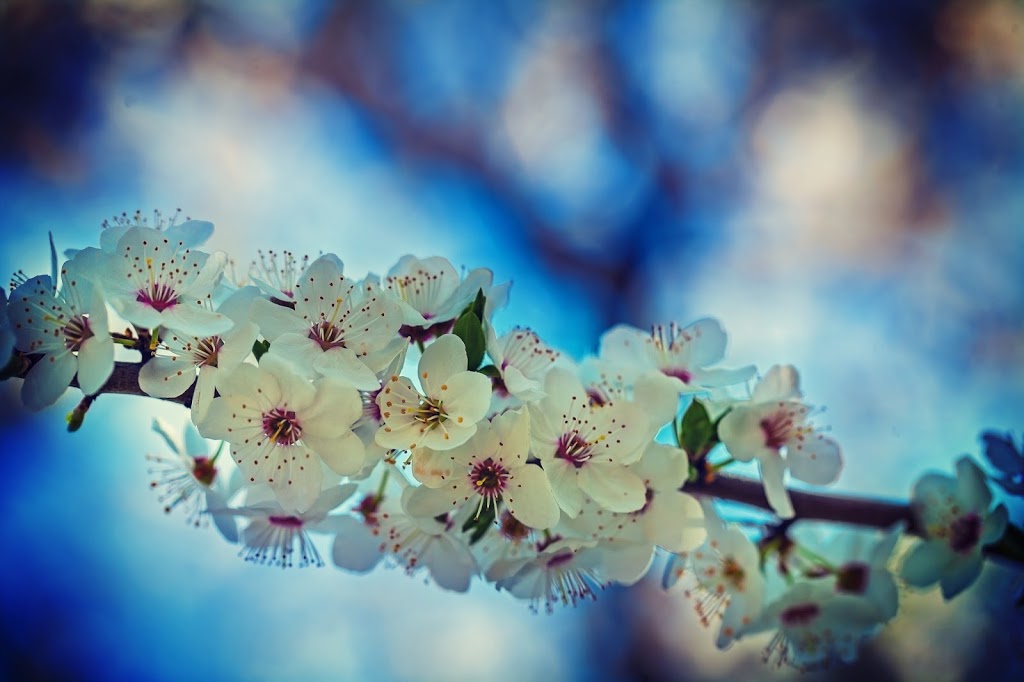 Dr. Leigha Saunders, Naturopathic Doctor | 304 Toronto St S #202, Uxbridge, ON L9P 1Y2, Canada | Phone: (905) 852-2929