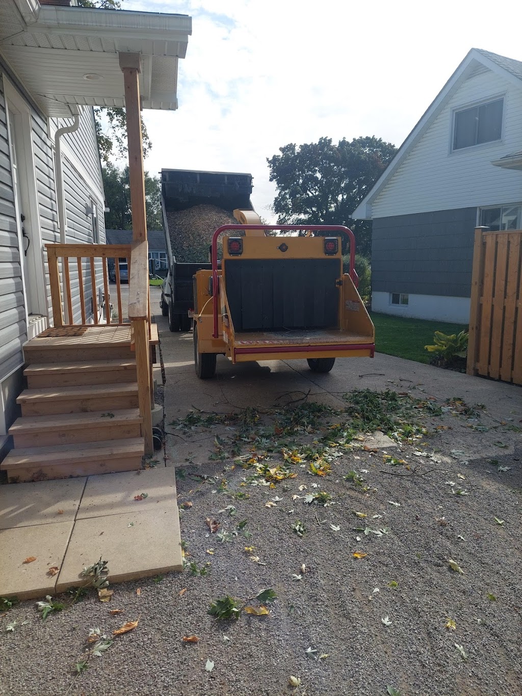 Branching Out Tree Services | 10 Pochon Ave, Port Hope, ON L1A 2X9, Canada | Phone: (905) 269-1673