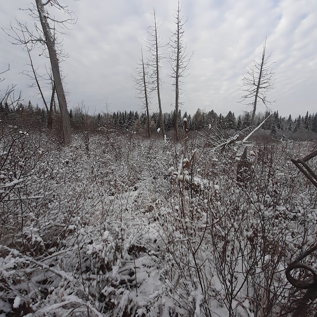 Le guide rustique | 3275 Bd des Ruisseaux, Mont-Laurier, QC J9L 0R8, Canada | Phone: (581) 490-1951