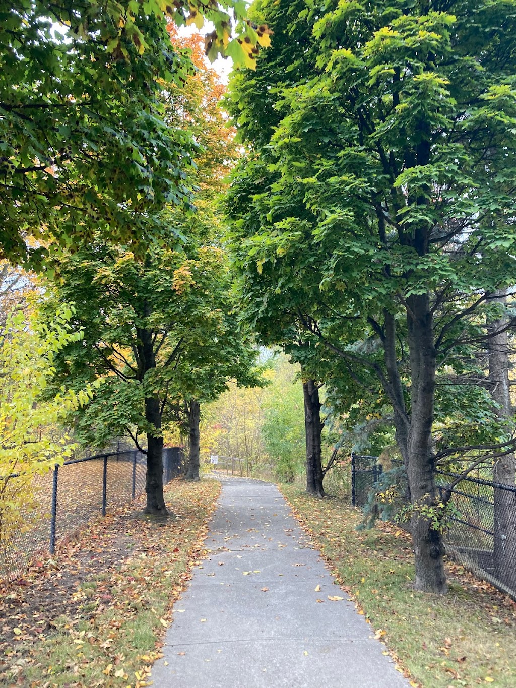Doncrest Valley | Richmond Hill, ON L4B 3M7, Canada | Phone: (905) 771-8830