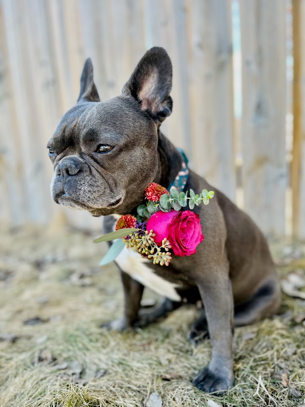 Sonic BLOOM | Westside Lethbridge, Lethbridge, AB T1J 4C1, Canada | Phone: (587) 486-7338