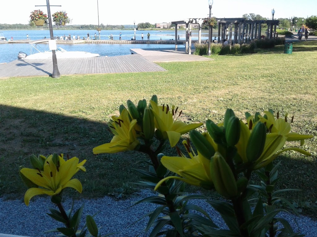Birdseye Park | 254 Water St, Port Perry, ON L9L 1C4, Canada