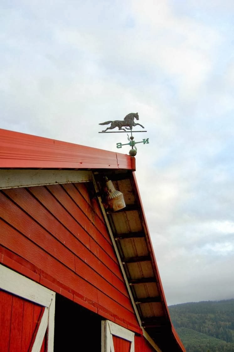 Hayloft Yoga: A Practice for Equine Enthusiasts | 15216 Colony Road, Double S Quarter Horses, Upstairs Hayloft, Bow, WA 98232, USA | Phone: (312) 857-3454