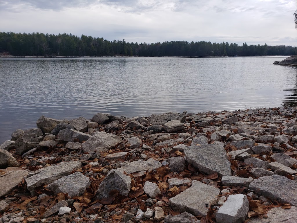 Crystal Lake Marina | 25 W Clear Bay Rd, Kinmount, ON K0M 2A0, Canada | Phone: (705) 488-2011