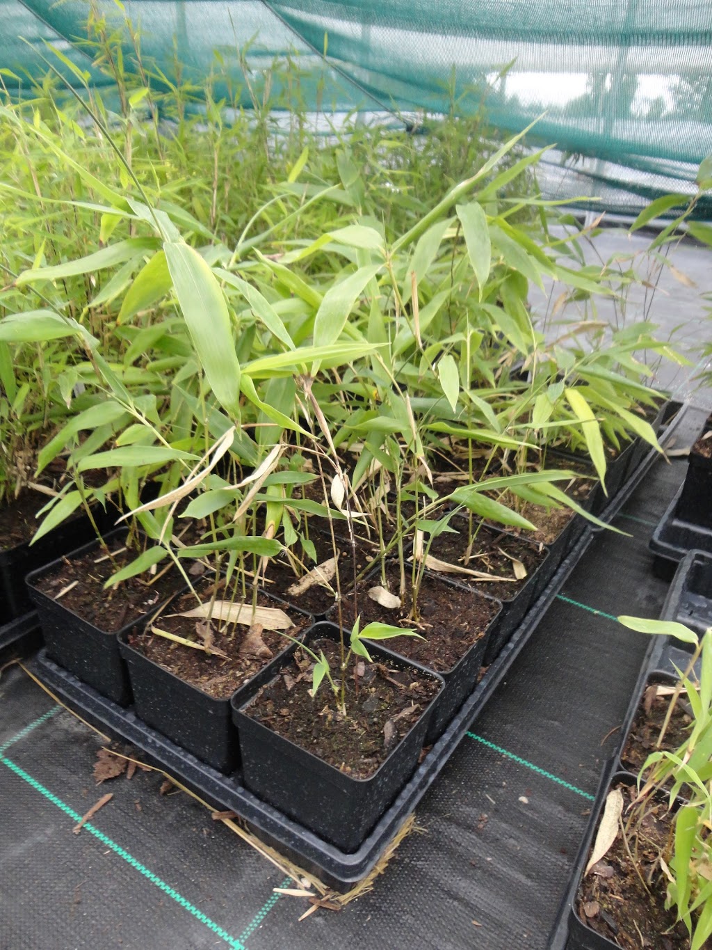 JPLANT | 330 W Drive in Rd, Napanee, ON K7R 3L1, Canada | Phone: (613) 217-9773
