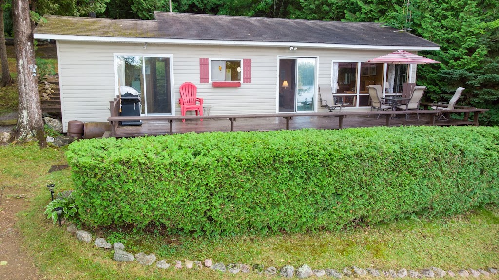 Tania Rightmyer Realtor - Ball Real Estate Inc., Brokerage | 127 Burleigh St, Apsley, ON K0L 1A0, Canada | Phone: (705) 760-3366