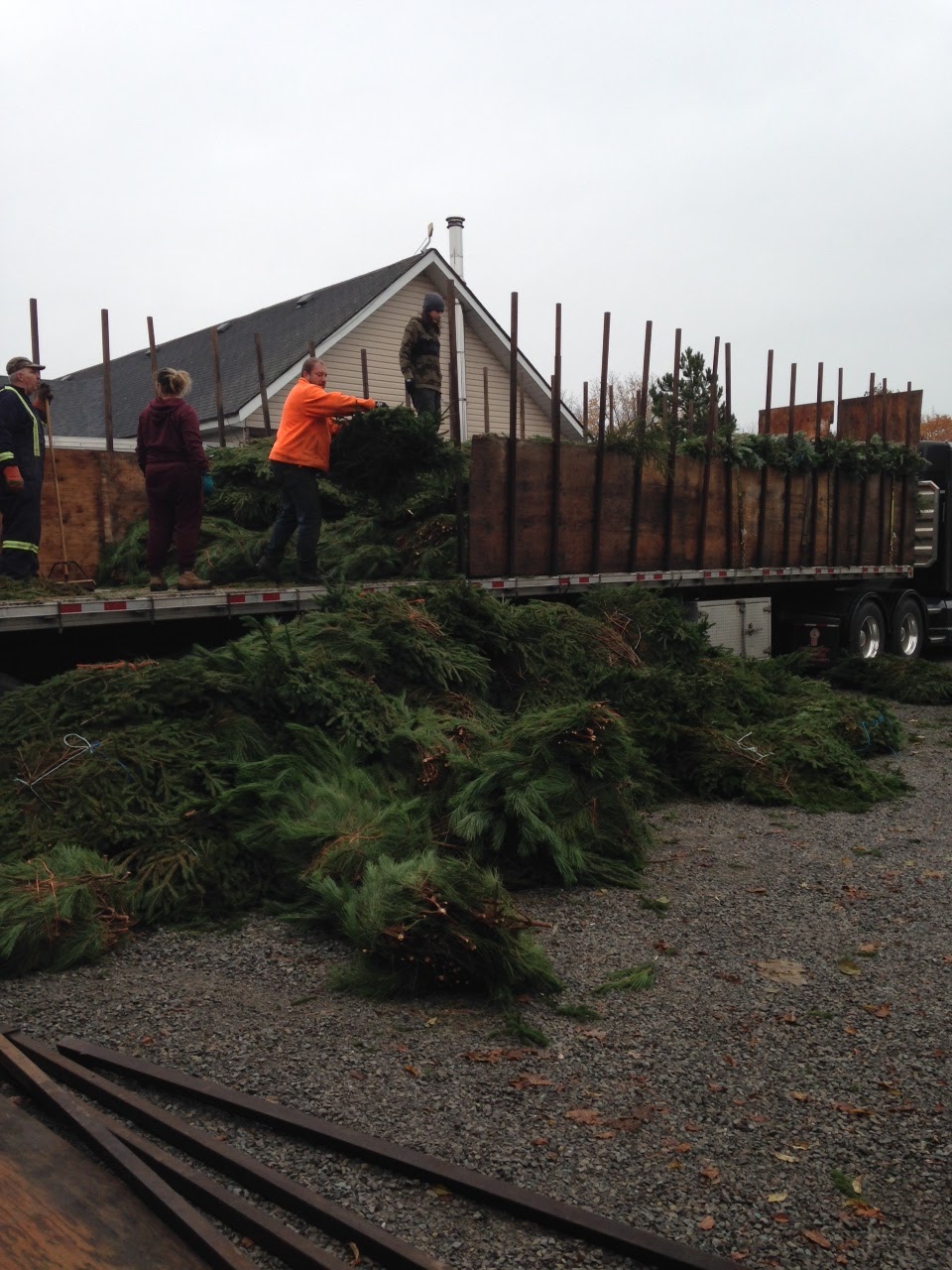 CCFARMS Fundraising | 2705 Battersea Rd, Inverary, ON K0H 1X0, Canada | Phone: (613) 893-0206