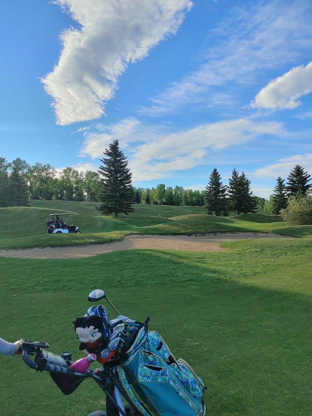 Maple Ridge Golf Course | point of interest | 1240 Mapleglade Dr SE, Calgary, AB T2J 2G6, Canada | 4033001004 OR +1 403-300-1004